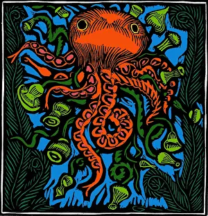 Zoology Prints: Octopus, 20th Century