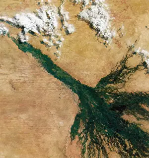 Satellite Prints: Okavango Delta, Satellite Image