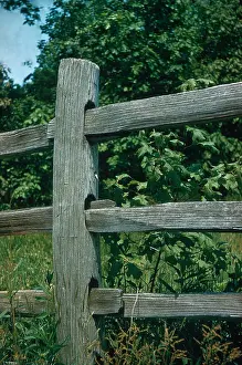 July Prints: Fence