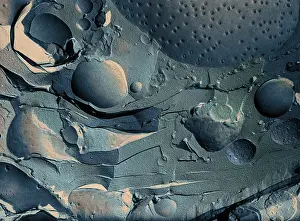 Root Prints: Onion Root Tip Cell, Freeze Fracture TEM