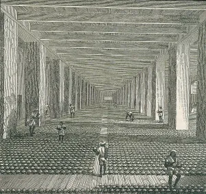 Illegal Prints: Opium Factory, mid-19th century