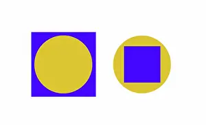 Illusion Prints: Optical Illusion