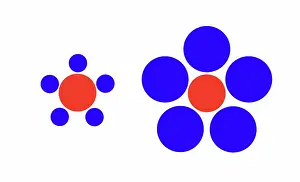 Illusion Prints: Optical Illusion, Ebbinghaus