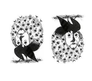 2015 Prints: Optical Illusion, Peacock and Mr. Bluebeard