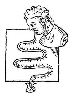 Earliest Prints: Oral Thermometer, 1625
