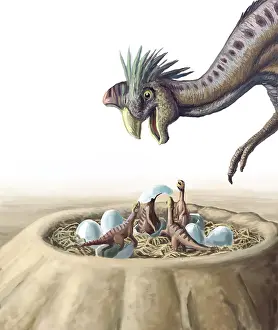 Prehistoric Prints: Oviraptor and Nest
