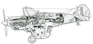 Aircraft Prints: P-40 Tomahawk IIB