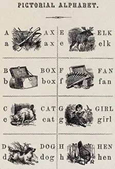 Book Prints: Page from 'The Pictorial Alphabet'