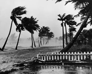 Strong Prints: Palm Beach hurricane, 1949