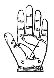 Forecast Prints: Palmistry, Indagine Palm Lines, 1522