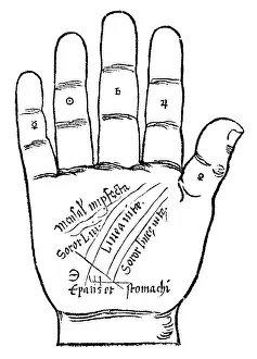Forecast Prints: Palmistry, Indagine Palm Lines, 16th Century