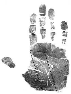 Forecast Prints: Palmistry, Life Line