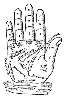 Palmistry, Palm Lines, 1560