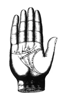Forecast Prints: Palmistry, Ronphile Palm Lines, 1655
