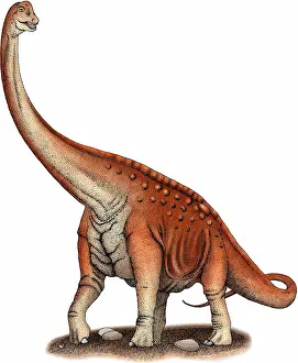Prehistoric Prints: Paluxysaurus