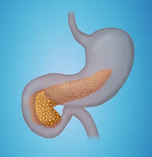 Glandular Prints: Pancreas