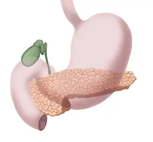 Small Prints: Pancreas, Gallbladder and Stomach
