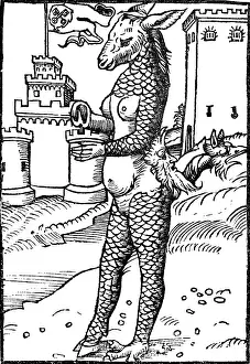 16th Prints: Papal Ass, Reformation Monster