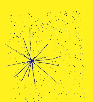 Accelerator Prints: Particle Tracks