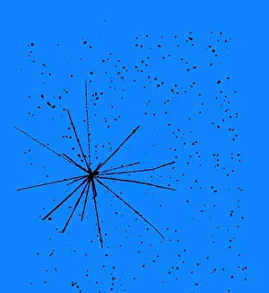 Accelerator Prints: Particle Tracks