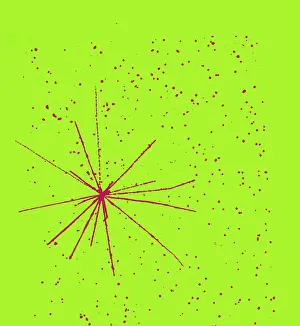 Accelerator Prints: Particle Tracks