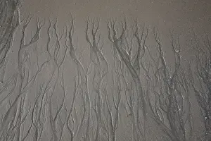 Pattern Prints: Patterns in Sand