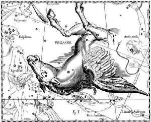 Asterism Prints: Pegasus Constellation, Hevelius, 1687