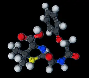 Atomic Prints: Penicillin V Molecular Model