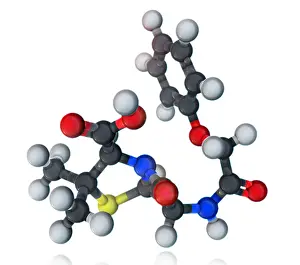 Atomic Prints: Penicillin V Molecular Model