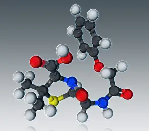 Atomic Prints: Penicillin V Molecular Model
