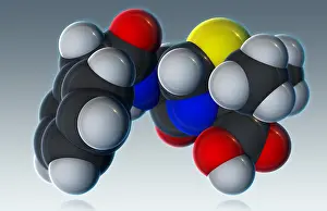 Atomic Prints: Penicillin V Molecular Model