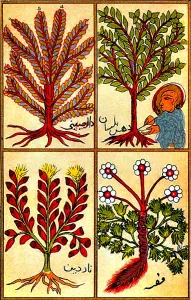 12th Prints: Perfumes of the Hebrews, 12th Century