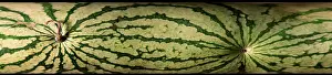 Pattern Prints: Peripheral Streak Image of Watermelon