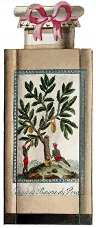 Advertisement Prints: Peru Balsam, Perfume Label, 19th Century
