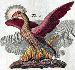 Kind Prints: Phoenix, Legendary Creature