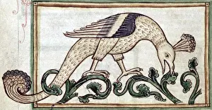 Folklore Prints: Phoenix, Legendary Creature