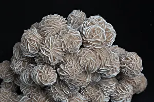 Rock Prints: Phosphorescent Desert Rose Barite