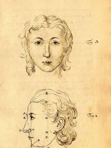 Arts Prints: Physiognomical Illustration of Human Head