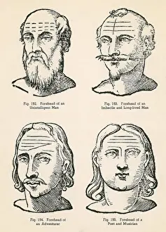 Poet Prints: Physiognomy, 1637
