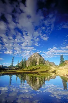Nature Prints: Pinnacle Peak