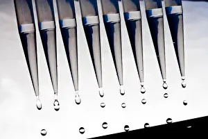 Research Prints: Pipettes Collecting Samples