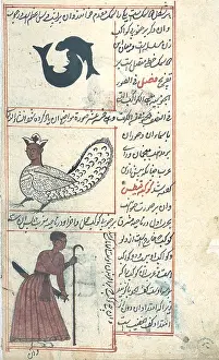 Text Prints: Pisces, Cetus and Orion Constellations