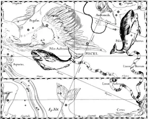 Asterism Prints: Pisces Constellation, Zodiac Sign, Hevelius