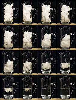 Waters Prints: A pitcher of ice melts over 4 hours