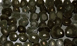 Floor Prints: Polymetallic Nodules