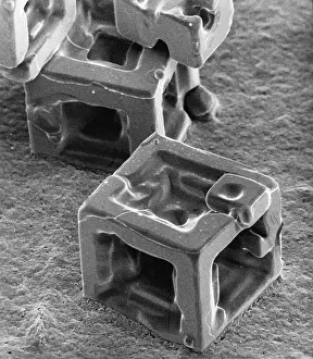 Microscope Prints: Potassium Chloride Crystals