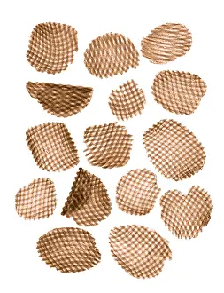 Foods Prints: Potato chips, X-ray