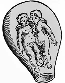 Form Prints: Preformationism, 18th Century