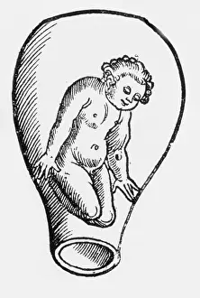 Form Prints: Preformationism, 18th Century
