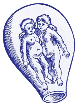 Form Prints: Preformationism, 18th Century